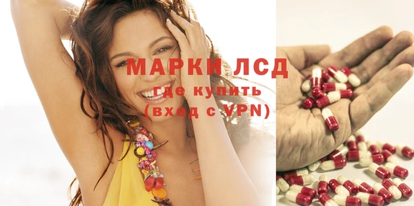 spice Баксан