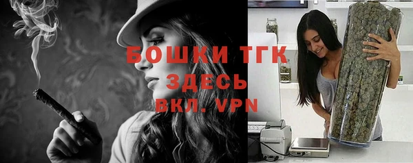 винт Аркадак