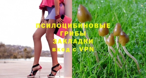 трава Арсеньев