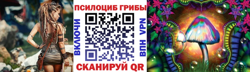 Псилоцибиновые грибы MAGIC MUSHROOMS Пестово